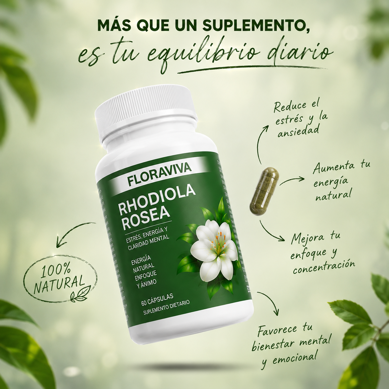 Rhodiola Rosea - Menos estrés, Más Energía