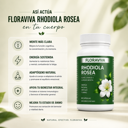 Rhodiola Rosea - Menos estrés, Más Energía