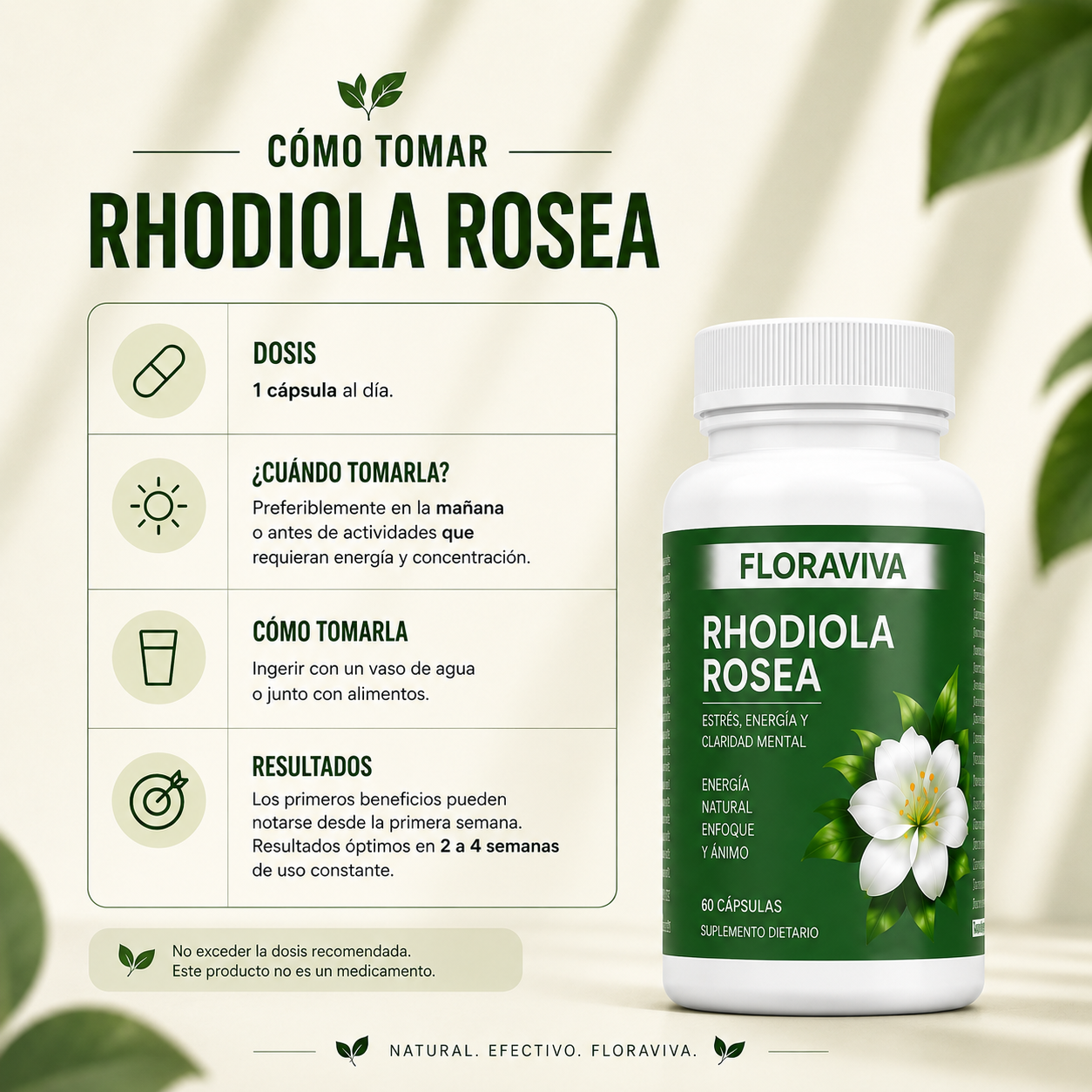 Rhodiola Rosea - Menos estrés, Más Energía