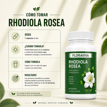 Rhodiola Rosea - Menos estrés, Más Energía
