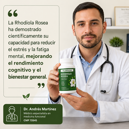 Rhodiola Rosea - Menos estrés, Más Energía