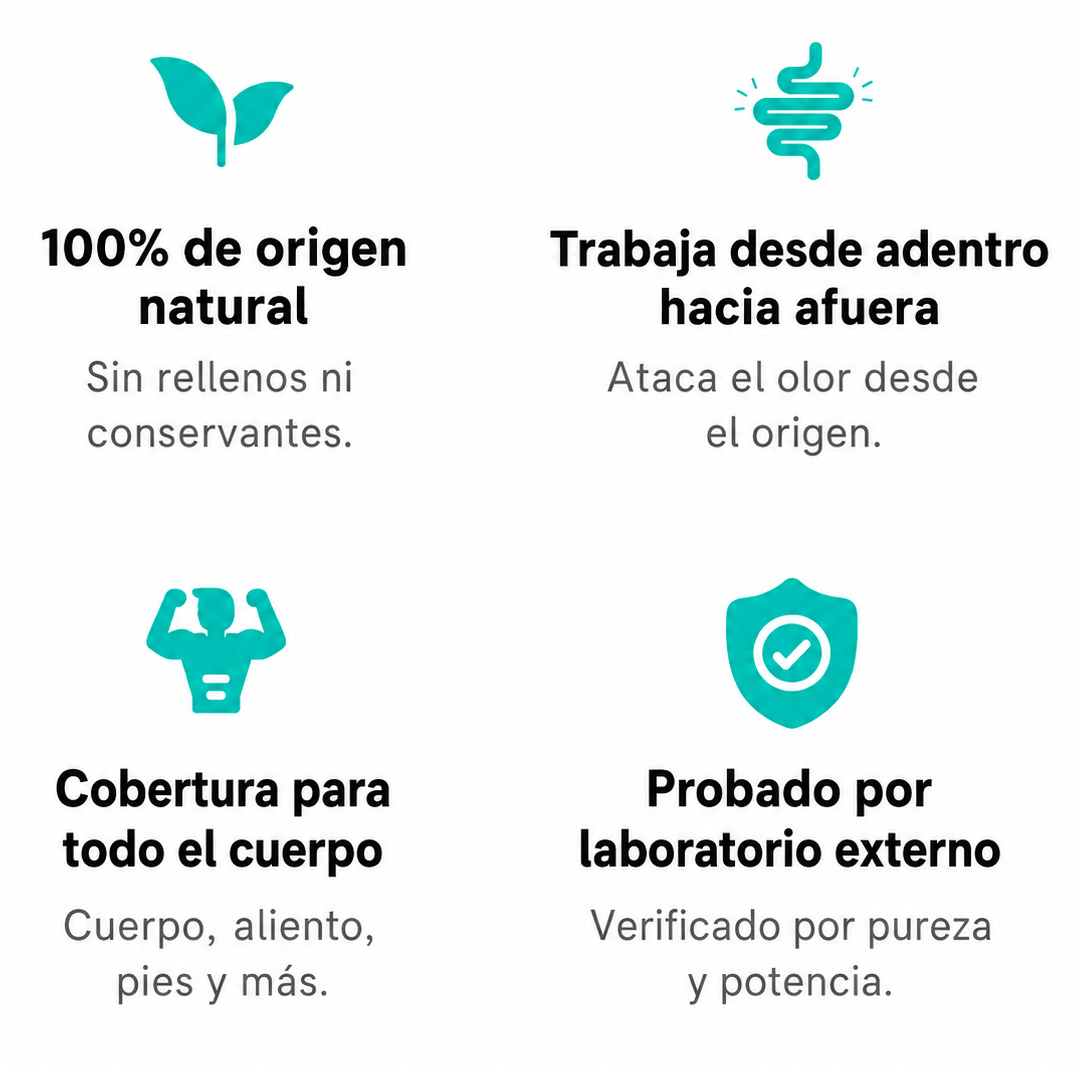 DEOS infografia simple
