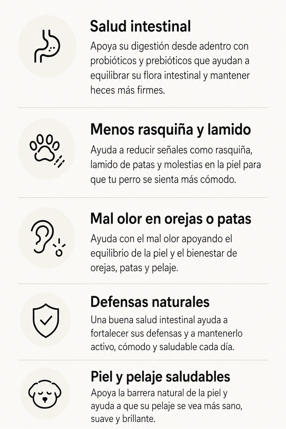 Infografia cuidamos salud perro